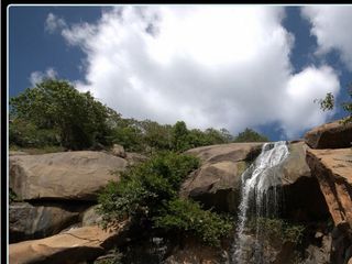 Yelagiri Attractions That You Can't Miss