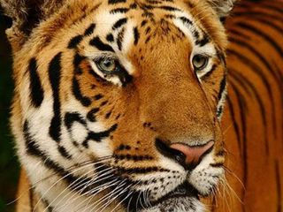 Karnataka Tourist Places for All Seasons