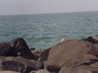 Places to Visit in Byndoor