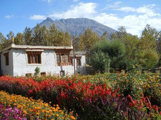 Experience Ladakh: An Unforgettable Journey!