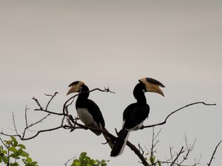 Malappuram, The Hill Top Town