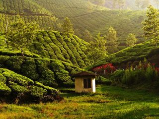 Top Places To Visit In South India During July