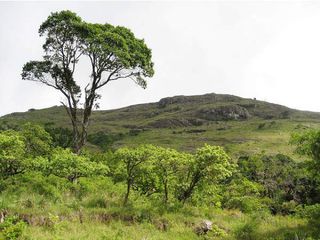 BR Hills, Of Temples and Tranquility