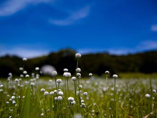 Satara, The City of Natural Grandeur 