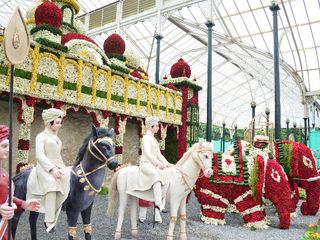 A Riot of Colours at Lal Bagh Flower Show 2014