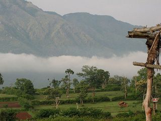 15 Beautiful Hill Stations in South India