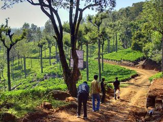 Top 12 Hill Stations to Visit in Tamil Nadu