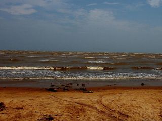 The Beach Town of Chandipur, Odisha