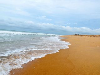 Travel to the 12 Beautiful Beaches in Odisha