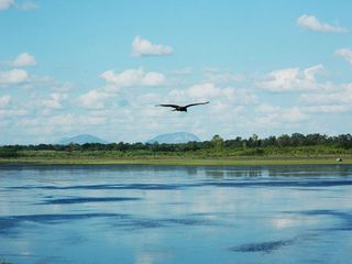 Unveiling the Glorious Lakes of Bangalore
