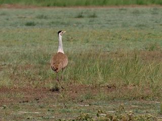 Travel to the Beautiful Town of Solapur, Maharashtra