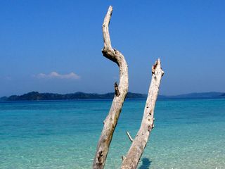 10 Unique Honeymoon Destinations in India