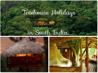 5 Amazing Treehouse Experiences in South India