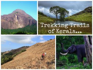 5 Popular Trekking Trails of Kerala