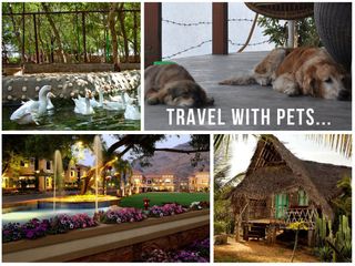 10 Pet Friendly Stay Options in India