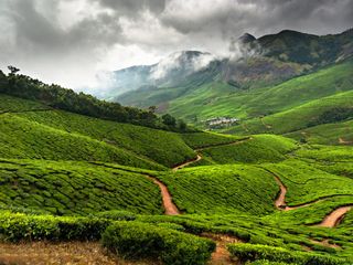 Scenic Tour of Kolukkumalai