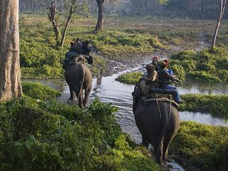 The Amazing Experience of Elephant Rides in India