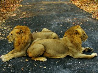 Travel to the 5 Picnic Spots In and Around Mumbai