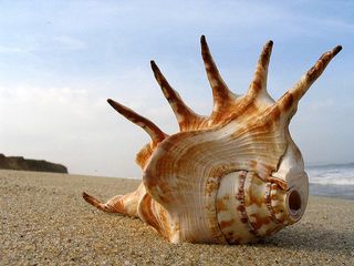 A Stunning Photo Tour of Mangalore, Karnataka