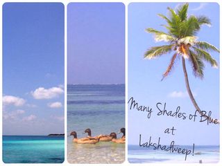 Travel to the Exotic Islands of Lakshadweep