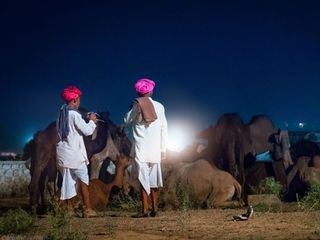 The Unique Pushkar Camel Fair, Rajasthan