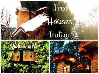 5 Stunning Tree House Experiences in India