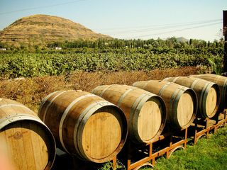Travel to the 5 Vineyards of India
