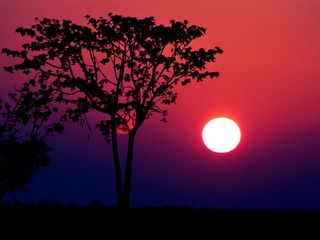 Bangalore to Kabini - An Eventful Weekend Road Trip 