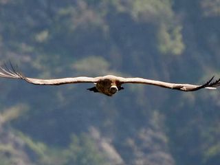 Travel to Kullu, The Valley of Gods