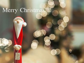 Christmas Joy and Festivities in India