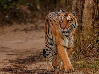 5 Winter Adventure Tourist Destinations