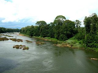 Travel to the 7 Beautiful Rivers of Kerala