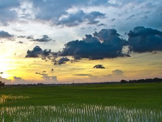 Travel to the Peaceful Town of Midnapore