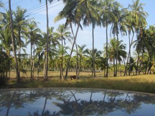 Discovering Peace and Beauty on a Lesser Known Trail of Kerala