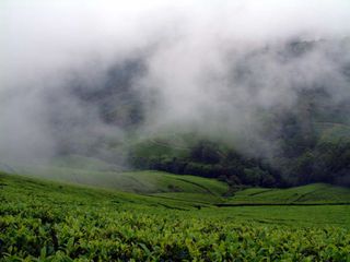 Travel to the Picturesque Town of Theni