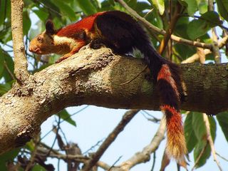 Travel to the Charming Town of Hoshangabad