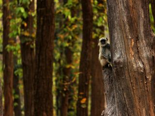 Exploring Places in India that appear in Indian Fictions