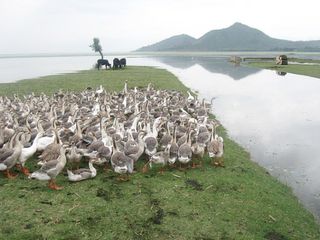 Travel to the Heavenly Town of Baramulla