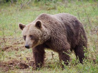 Travel to the Garden City of Hazaribagh