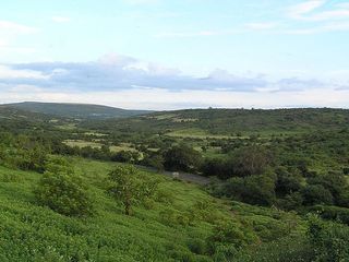 Travel to the Serene Hill Station of Amboli