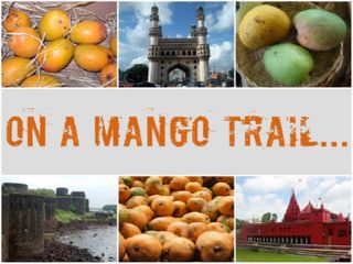 On a Mango Trail...