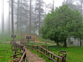 Travel to the Picturesque Hill Station of Dhanaulti