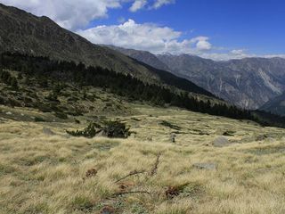 Himachal Pradesh Tourism – Best Places to Visit