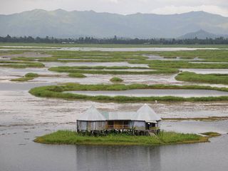 Manipur Tourism – The Wildlife Town of Bishnupur