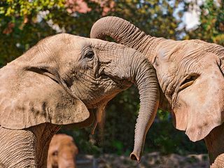 Arunachal Pradesh – The Picturesque Town of Bomdila