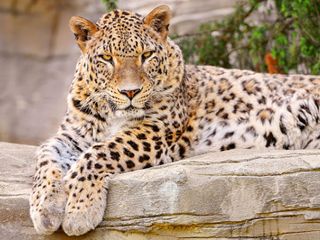 Chattisgarh Tourism – The Nature Town of Dhamtari