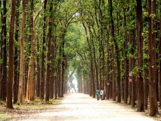 Uttar Pradesh Tourism – The Holy Town of Gorakhpur