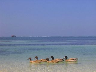 Mesmerising Islands of Lakshadweep