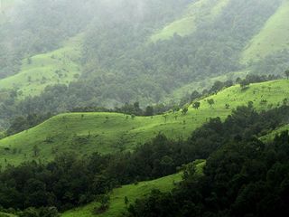Top Monsoon Destinations in Karnataka