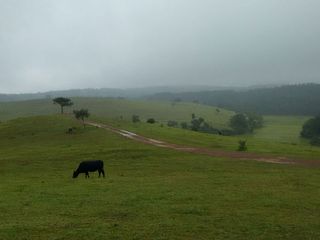 A Road Trip From Bangalore to Coorg via Sakleshpur